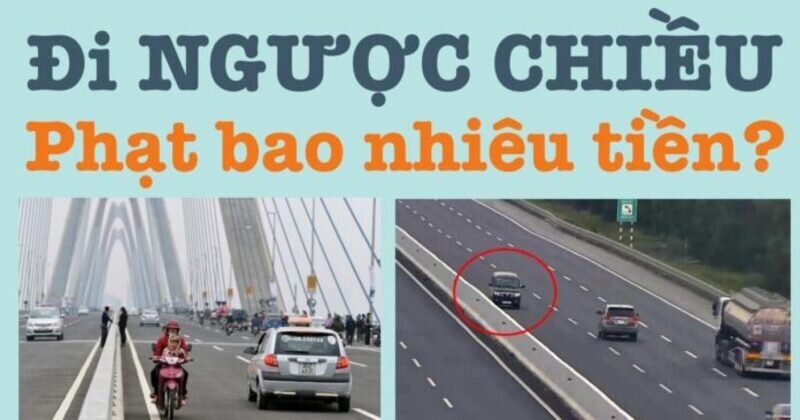 o-to-di-nguoc-chieu-phat-bao-nhieu (5).jpg