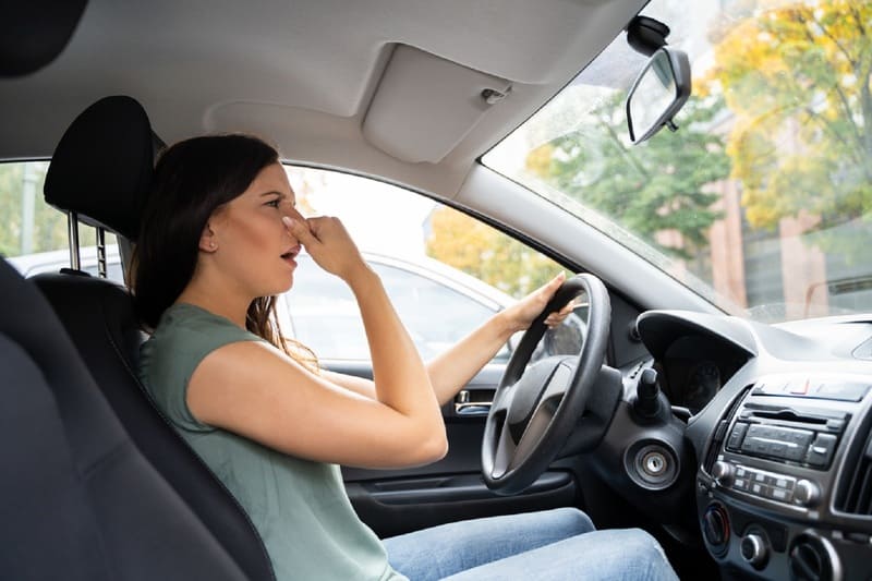 Vệ sinh nội thất định kỳ và thay mới để tránh bị bốc mùi