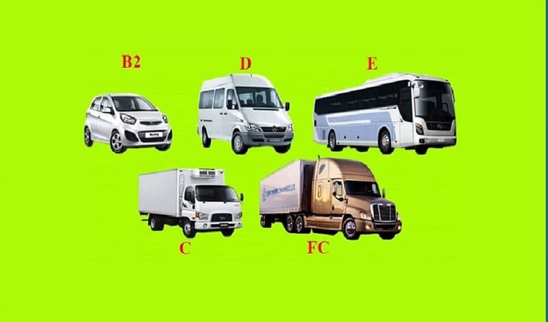 cac-loai-bang-lai-xe-o-to (7).jpg