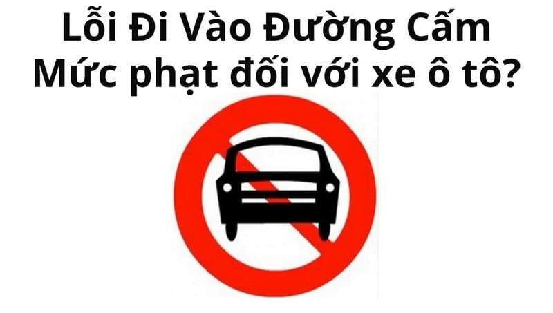 loi-o-to-di-vao-duong-cam (1).jpg