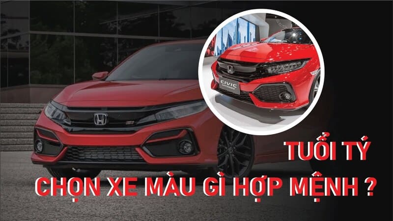 Tuỳ theo năm sinh mà người tuổi tý có các mệnh khác nhau&nbsp;